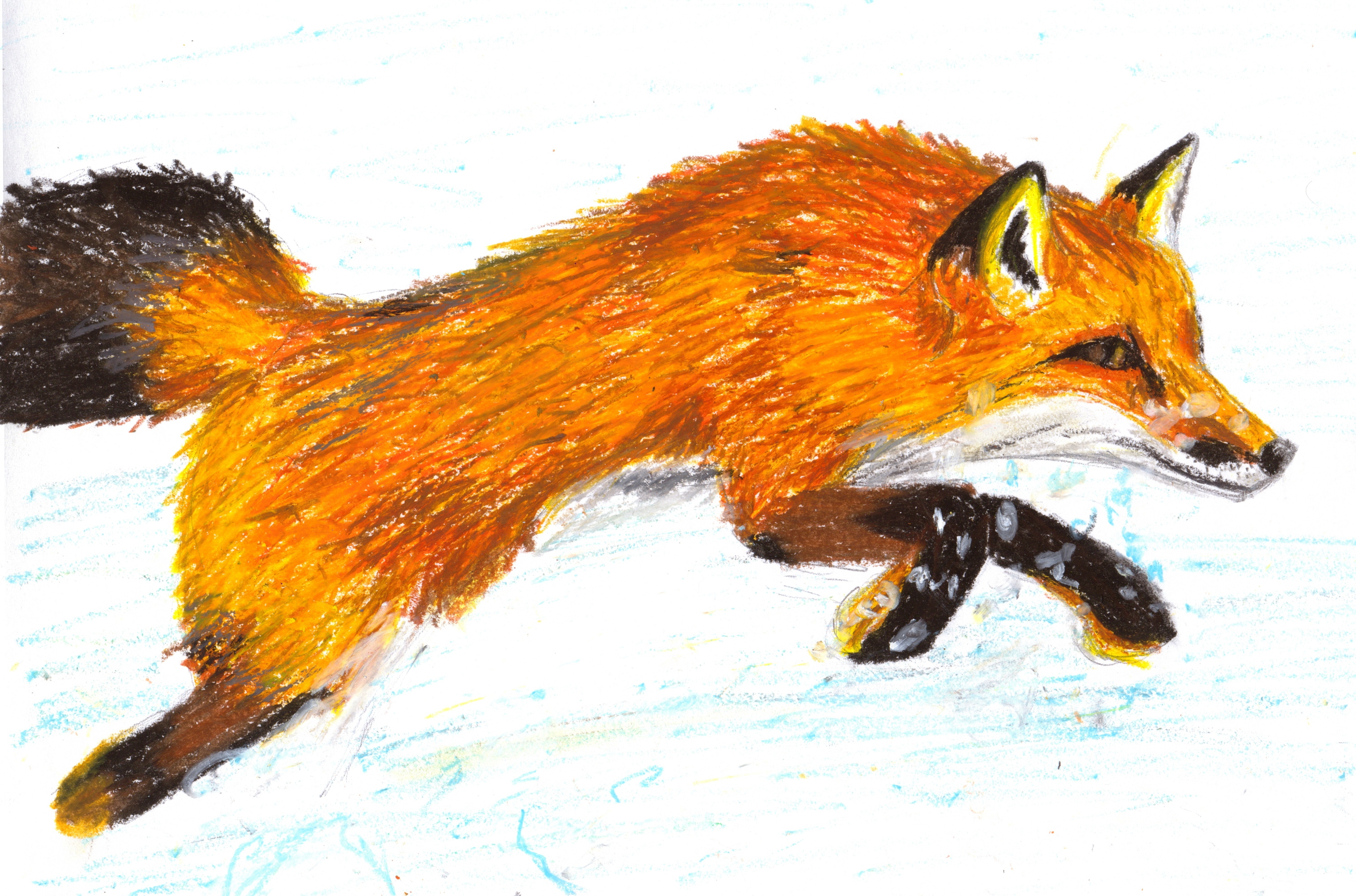 Zarah Raizel Oil Pastel Fox